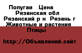 Попугаи › Цена ­ 600 - Рязанская обл., Рязанский р-н, Рязань г. Животные и растения » Птицы   